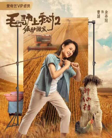 h视频网站在线观看
